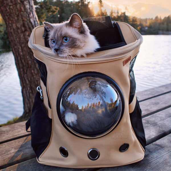 Pet Travel Backpack